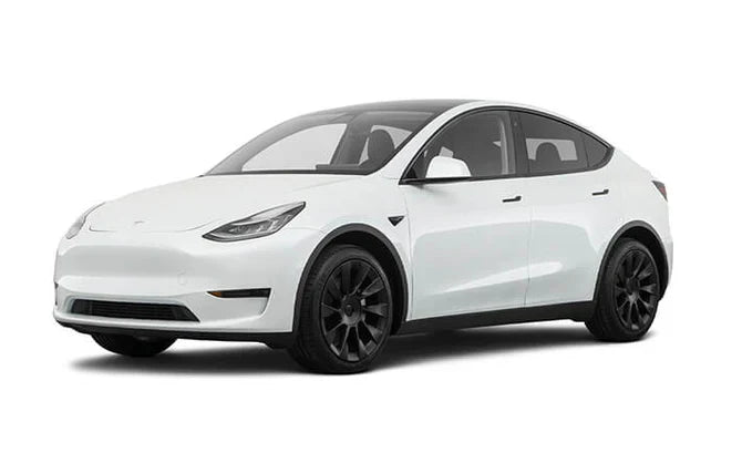 2020-2024 Model Y